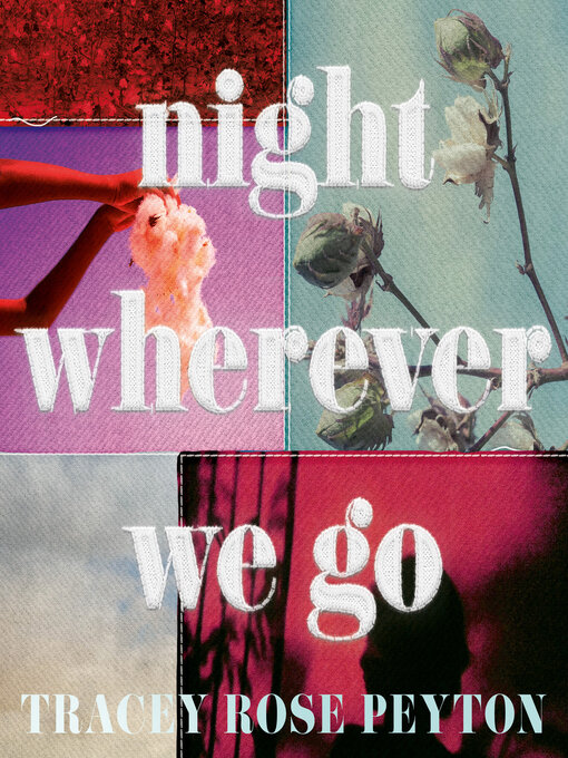 Cover image for Night Wherever We Go